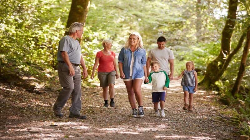 Browse Parks — Explore 124 parks and green spaces organized by neighborhood